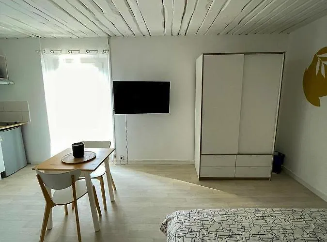 Apartment Grand A 5mns De La Des Salins Hyères